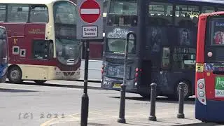 Hull buses part 2