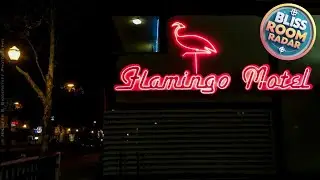 The Flamingo Motel San Jose | San Jose (CA), United States | Hotel Review 🌟