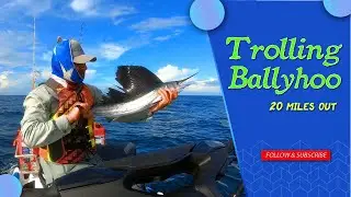 Trolling Ballyhoo / 20 miles out on Jet Ski