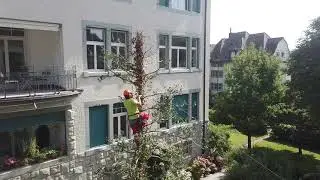 STIHL MAN makes ST. GALLEN great again