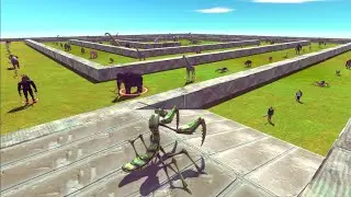 Giant Mantis Death Run Fight Battle ARBS - Animal Revolt Battle Simulator