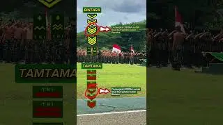 Pangkat Bintara dan Tamtama sudah bisa sekolah #tni #tnidihatirakyat #tniad #tentara #army #militer