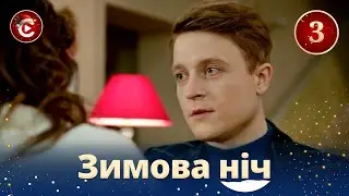Вместо подарка получила на праздник бывшего мужа с кучей проблем! «ЗИМНЯЯ НОЧЬ». 3 серия