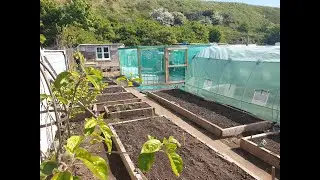 Solar powered allotment tour! Welcome to The Engineering Allotment!