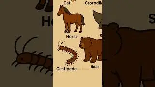 🌍WORLD BIGGEST ANIMALS Pt.3☠️ #shorts
