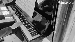 Ludovico Einaudi - Primavera (Piano Cover)