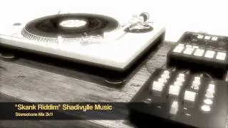 Skank Riddim Mix
