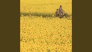 Summers