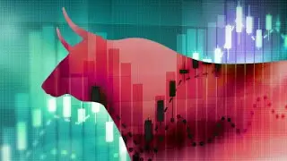 Risk in a Late Stage Bull Market