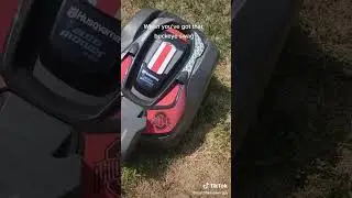 When you've got that buckeye swag