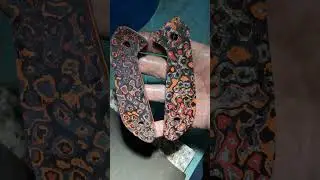 Some scales I'm making for What's The Points next creation