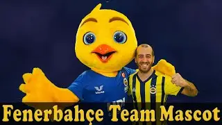 Fenerbahce Team Mascot - MASKOT