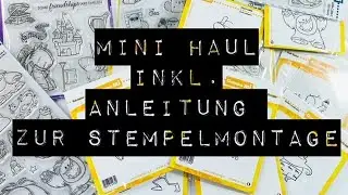 Mini Haul + Anleitung f&uuml;r Stempelmontage
