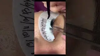 How to place L curl Lashes properly? - UBLash