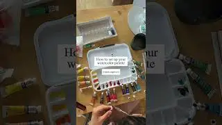How to set up your watercolor palette 🎨