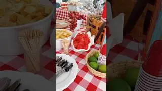 backyard picnic ❤️ #picnic #partytheme #hosting #backyard #summervibes #partysetup #partydecorations