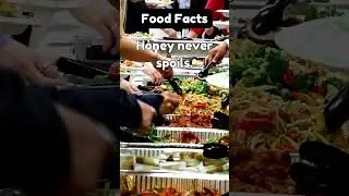 Food Facts Fact #GlobalFood #WorldFlavors #FoodCulture #FoodHistory #AncientRecipes #HistoricalEats