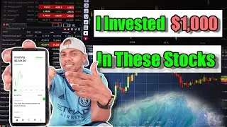 I Invested $1000 into these Robinhood STOCKS | $3k To $100k Challenge 🔥🏄🏽‍♂️🌊