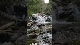 Surprising October moment in June 4K