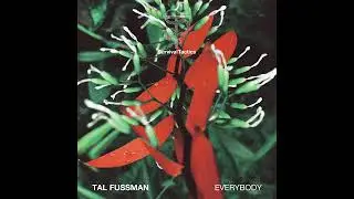 Tal Fussman &mdash; Everybody (KiNK Remix) [ST005]