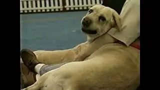 Retro Animal Planet National Dog Championships Commercial 90s