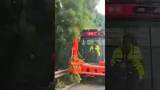 Efficient Roadside Tree Trimming Machine: Enhancing Safety and Aesthetics #agriculturemachines