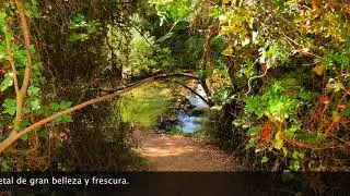 Sierra de Grazalema, Pueblos Blancos, Rio Majaceite, 4k