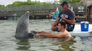 Wounded Veteran Rehabilitation: Swimming With Dolphins