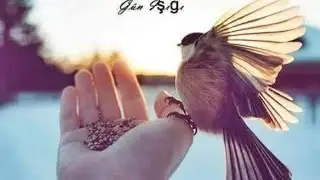 BAKALIM KİMLER DOĞRU CEVABI BULABİLECEK GELSİN CEVAPLAR 🤗#keşfet