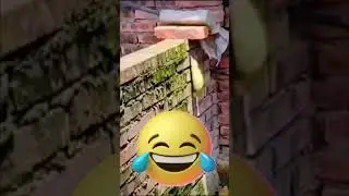 spiderduck