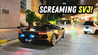 meet singapore's LOUDEST Aventador SVJ... chasing the Spoon Sports Nissan GTR