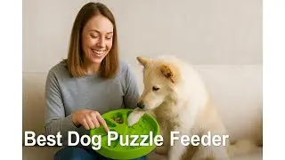 🐶 Обзор набора развивающих игрушек для собак KIPRITII: стоит ли его покупать? 🐶