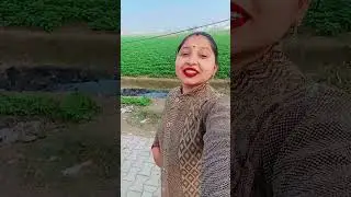 धमाका हुई आरा में #bhojpuri #song #dance #youtubeshorts #trendingshorts