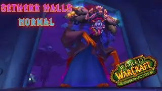 Sethekk Halls Normal:  Prot Paladin Tanking (WOW Classic TBC)