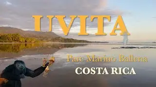 COSTA RICA | UVITA et son PARC MARINO BALLENA - le sanctuaire des BALEINES
