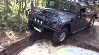 H1 ямка