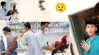 Aseel Rajy Ko Dubara Hospital Ly Kr Jana Pra || Haseeb home birds