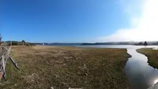 Hatfield Marine Science Center: Site 1 Fall 2022 - Estuary and Brackish Marsh