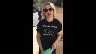 Evanna Lynch supports Save The Asian Elephants