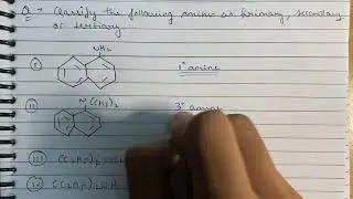 Intex Question 9.1 | Classify the following amines as primary, secondary and tertiary | Chemistry