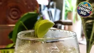 Boundary Hostel Cafe | Surat Thani, Thailand | Hotel Review 🏩