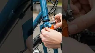 Cyclist, This Will Help You on a Long Ride! A Simple Trick to Boost Endurance