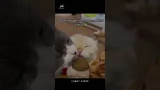 When Sharing Isn&rsquo;t Caring: Cat Licks the Wrong Mouth