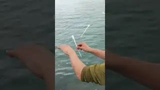 How many hooks are you allowed to send in your country? #fishing #fishingtrip #seafishing