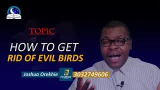 How To Get Rid of Mysterious Birds - How To Keep Demonic Birds Away From Your House