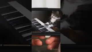 Mr  Whiskers  The Feline Mastermind