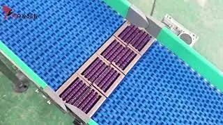 Blue Modular Belt Conveyor#conveyorbelt #conveyorsolutions #modularbelt