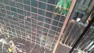 Bor Biopori @halamanbelakang