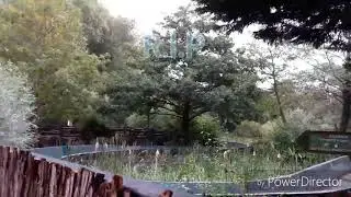 R.I.P LOGGERS LEAP