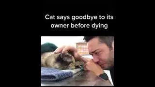 Owner is lucky he can say his last goodbye*EMOTIONAL*|#shorts